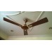 Crompton Ceiling Fan Aura Brown