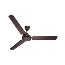 Usha Fan (Diplomat)